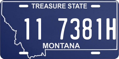 MT license plate 117381H