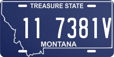 MT license plate 117381V