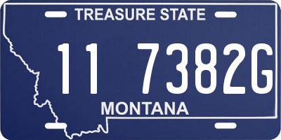 MT license plate 117382G