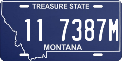 MT license plate 117387M