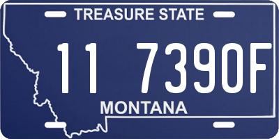 MT license plate 117390F