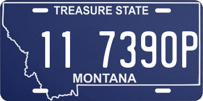 MT license plate 117390P