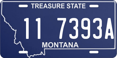 MT license plate 117393A