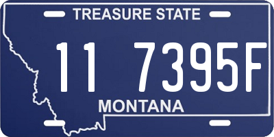 MT license plate 117395F