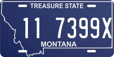 MT license plate 117399X