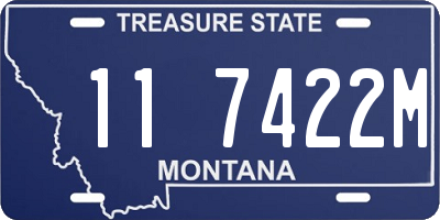MT license plate 117422M