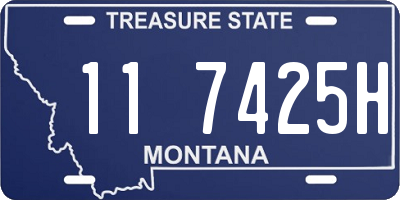 MT license plate 117425H
