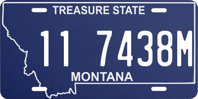 MT license plate 117438M