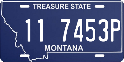 MT license plate 117453P