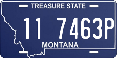 MT license plate 117463P