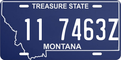 MT license plate 117463Z