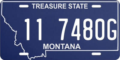 MT license plate 117480G