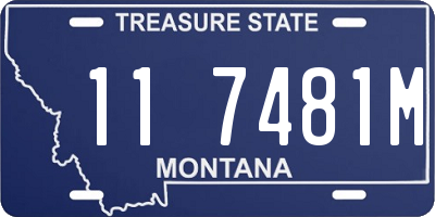 MT license plate 117481M