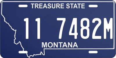 MT license plate 117482M