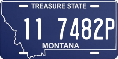 MT license plate 117482P