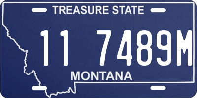 MT license plate 117489M