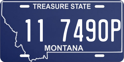 MT license plate 117490P