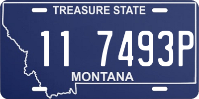 MT license plate 117493P