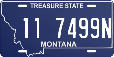 MT license plate 117499N