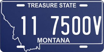 MT license plate 117500V