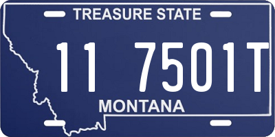 MT license plate 117501T