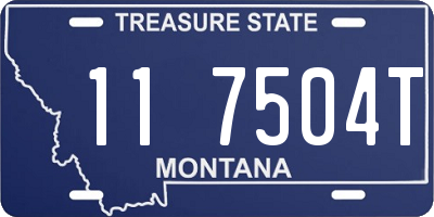 MT license plate 117504T