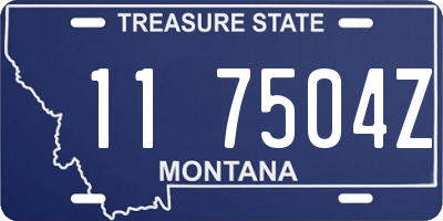 MT license plate 117504Z