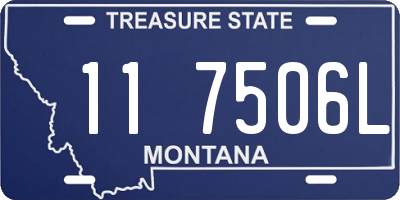 MT license plate 117506L