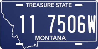 MT license plate 117506W