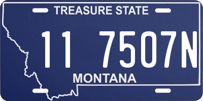 MT license plate 117507N