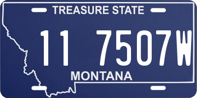 MT license plate 117507W