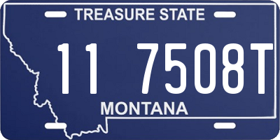 MT license plate 117508T