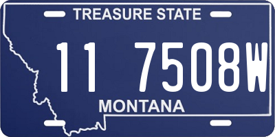 MT license plate 117508W