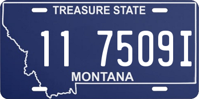 MT license plate 117509I