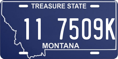 MT license plate 117509K