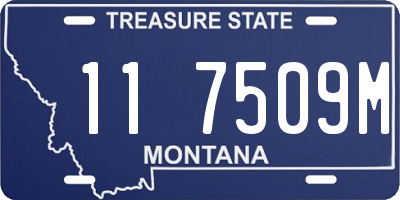MT license plate 117509M