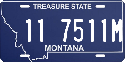 MT license plate 117511M