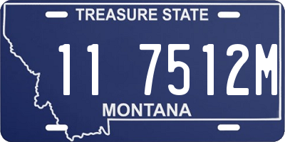 MT license plate 117512M