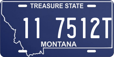 MT license plate 117512T