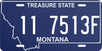 MT license plate 117513F