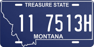 MT license plate 117513H