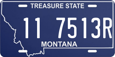 MT license plate 117513R