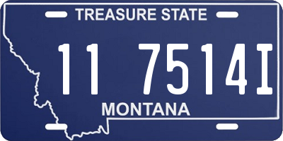MT license plate 117514I