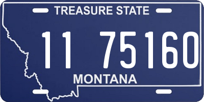 MT license plate 117516O