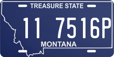 MT license plate 117516P