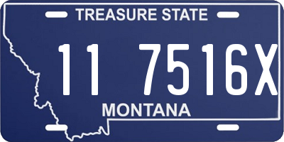 MT license plate 117516X