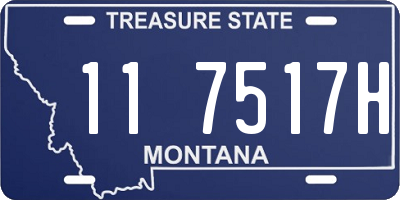 MT license plate 117517H