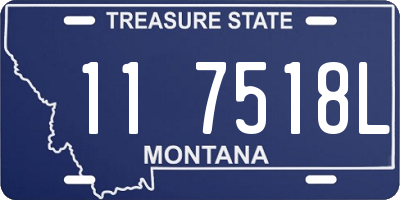 MT license plate 117518L