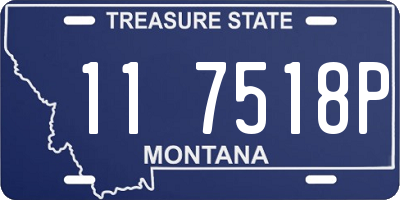 MT license plate 117518P