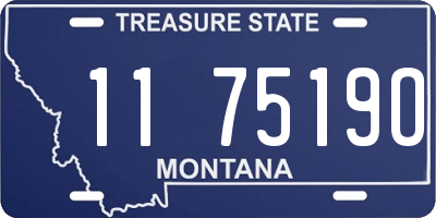 MT license plate 117519O